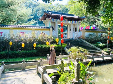 虎邊有水池|禪機山仙佛寺【台視易經風水面面觀